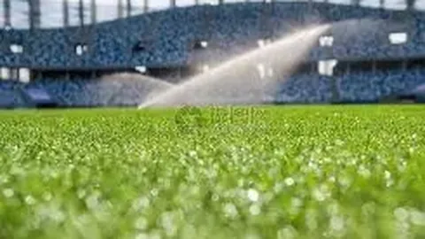 pg286娱乐平台 产品 043546 t4e